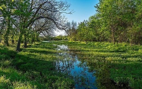 04Apr.jpg