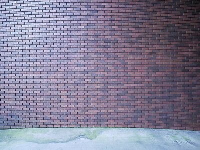Brick wall 10 feet resized.jpg