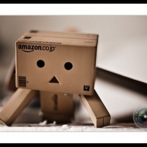 Danbo Arrives and is Captured by GF1