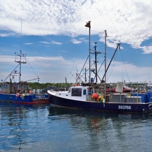 Two Lobster Boats at Rest