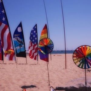 Sand Flags