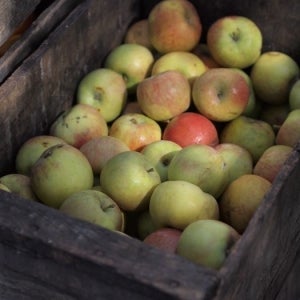 A Crate of Apples