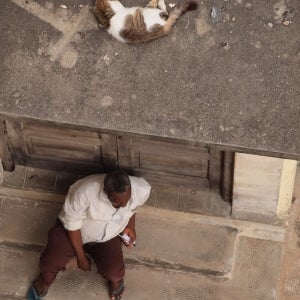 Man and Cat