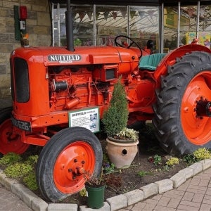 Nuffield Universal Tractor at Baytrees Garden Centre - Panasonic G1 14-45 L