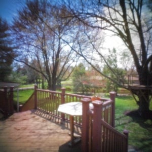 Pinwide view of backyard, handheld.