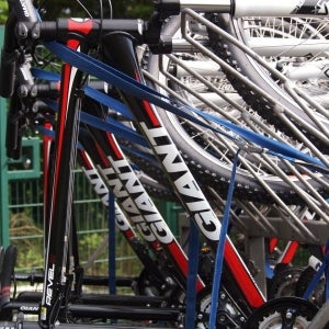 Giant Bikes on Rack